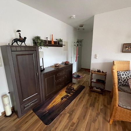 Moeblierte Wohnung Fuer Geschaeftsreisen/Ferienwohnung Plauen Stadtmitte Экстерьер фото
