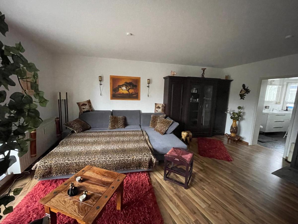 Moeblierte Wohnung Fuer Geschaeftsreisen/Ferienwohnung Plauen Stadtmitte Экстерьер фото